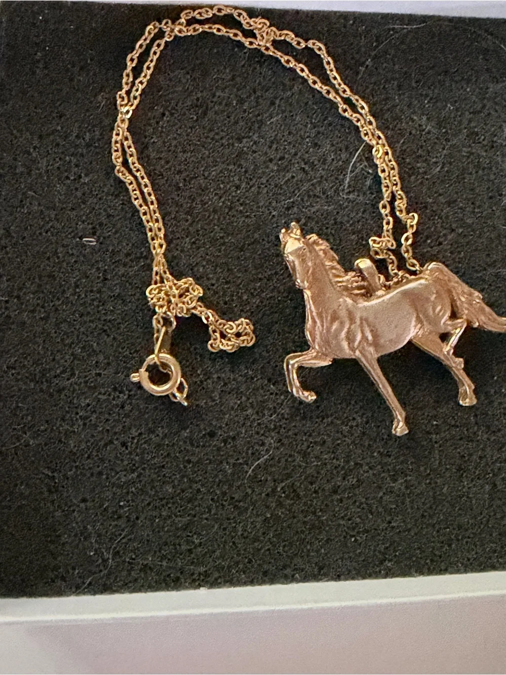 Horse Lover ensemble